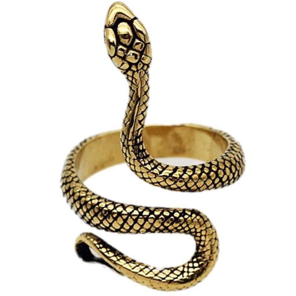 Snake ring gift idea for men